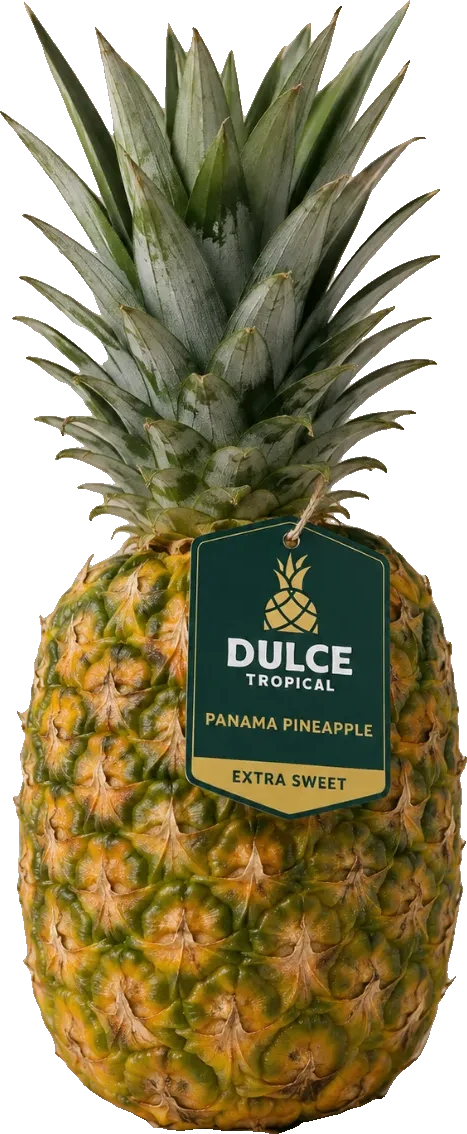 MD-2 pineapple with the Dulce Tropical Panama Pineapple Extra Sweet tag