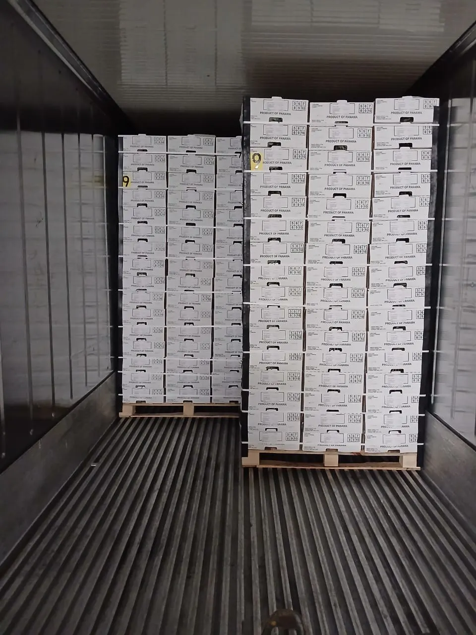 Pallets of MD-2 pineapple cartons stowed inside the reefer container